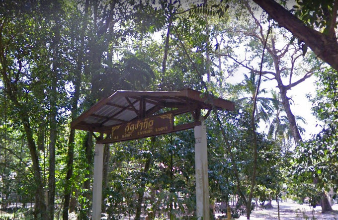 วัดป่ากิ่ว